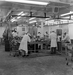 Employees of Colonial Meat Packing Corporation, St. Petersburg, Florida, D by George Skip Gandy IV