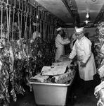 Colonial Meat Packing Corporation Processing Facility, St. Petersburg, Florida, A by George Skip Gandy IV