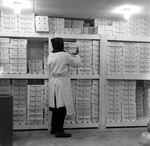 Colonial Meat Packing Corporation Storage Room, St. Petersburg, Florida, A by George Skip Gandy IV