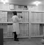 Colonial Meat Packing Corporation Storage Room, St. Petersburg, Florida, B by George Skip Gandy IV