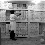 Colonial Meat Packing Corporation Storage Room, St. Petersburg, Florida, C by George Skip Gandy IV