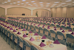 Dining Area in the Curtis Hixon Convention Center, Tampa, Florida, D by George Skip Gandy IV