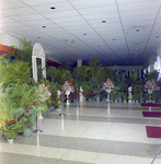 Area Decorated with Greenery in Curtis Hixon Convention Center for Junior League Ball, Tampa, Florida, B by George Skip Gandy IV