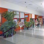 Hallway in the Curtis Hixon Convention Center Decorated for the Junior League Ball, Tampa, Florida, A by George Skip Gandy IV