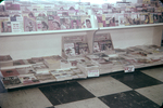 Magazine Rack at Kwik Chek Grocery Store, August 1959, J by George Skip Gandy IV