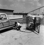 Refueling a Propane Powered Vehicle, D by George Skip Gandy IV