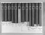 Roberts Cigar Display by George Skip Gandy IV