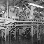 Conveyor System at a Factory, B by George Skip Gandy IV