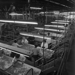 Woman Working at a Processing Line, H by George Skip Gandy IV