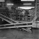 Woman Working at a Processing Line, I by George Skip Gandy IV