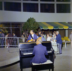 Musicians at Social Event at the Electrical Council of Florida Conference, Tampa, Florida, D by George Skip Gandy IV