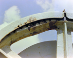 Rusted Wheel on Maratha Euroy, B by George Skip Gandy IV