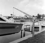 E-Z Way Products Pole and Wire Boat Lift, A by Skip Gandy