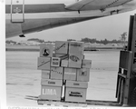 Cargo Being Loaded Onto an Airplane at Tampa International Airport, A by George Skip Gandy IV