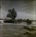 Field Near Dock, Burnt Store Marina, Florida, A by Skip Gandy