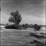 Field Near Dock, Burnt Store Marina, Florida, B by Skip Gandy