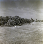 Line of Tarp and Small White Flags in Field, Burnt Store Marina, Florida, D by Skip Gandy