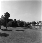 Field Near Dock, Burnt Store Marina, Florida, D by Skip Gandy