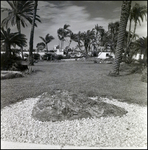 Entrance to Busch Gardens, Tampa, Florida, A by George Skip Gandy IV