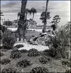 Landscaping Near Entrance to Busch Gardens, Tampa, Florida, B by George Skip Gandy IV