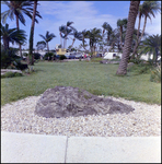 Entrance to Busch Gardens, Tampa, Florida, C by George Skip Gandy IV