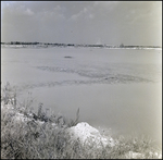 Shoreline Near General Material Company Tarpon Springs Plant, B by Skip Gandy