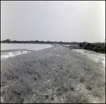 Shoreline Near General Material Company Tarpon Springs Plant, C by Skip Gandy