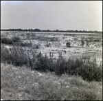 Shoreline Near General Material Company Tarpon Springs Plant, D by Skip Gandy