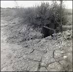 Rocks Near General Material Company Tarpon Springs Plant, B by Skip Gandy