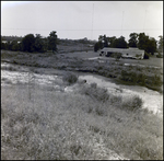 Shoreline Near General Material Company Tarpon Springs Plant, G by Skip Gandy