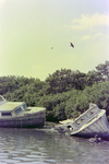 Abandoned Boats Along the Shoreline, Florida, B by Skip Gandy