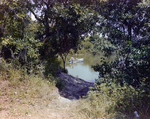 Man Fishing from a Boat on a River, Florida by Skip Gandy