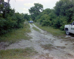 Trucks on a Dirt Road, Florida, A by Skip Gandy