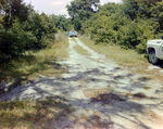 Trucks on a Dirt Road, Florida, B by Skip Gandy