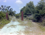 Metal Gate Blocking Dirt Road, Florida by Skip Gandy