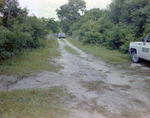 Trucks on a Dirt Road, Florida, C by Skip Gandy