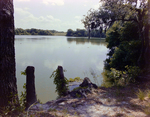 Abandoned Rowboat Partially Submerged, Florida, C