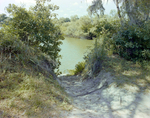 Sandy Path Leading to Riverbank, Florida, A by Skip Gandy