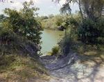 Sandy Path Leading to Riverbank, Florida, B by Skip Gandy