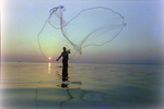 Mullet Fisherman Casting Net at Sunrise, Florida, B by Skip Gandy