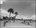 Man Bends Down to Pick Up Something on the Beach, Tampa, Florida by George Skip Gandy IV