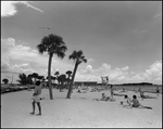 Man Stares at a Seagull that Flies Over Two Palm Trees, Tampa, Florida by George Skip Gandy IV