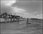 Group of Children Playing in the Shallows, Tampa, Florida, B by George Skip Gandy IV