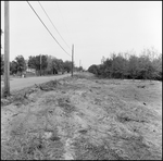 Clearing of Land Next to a Road, Tampa, Florida, A by George Skip Gandy IV