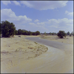 A Dusty Road Curves through an Orange Tree Grove, Tampa, Florida, A by George Skip Gandy IV