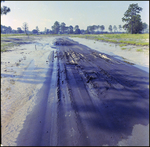 A Muddy Street Leads through a Planned Subdivision, Tampa, Florida, A by George Skip Gandy IV