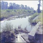 Water Flows into a Retention Pond, Tampa, Florida, C by George Skip Gandy IV