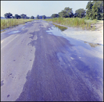 Wet Road Stretching into the Distance, Tampa, Florida, B by George Skip Gandy IV