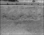 Loose Dirt on Side of the Road, Tampa, Florida, A by George Skip Gandy IV