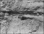 Detailed View of Soil and Dirt, Tampa, Florida, A by George Skip Gandy IV